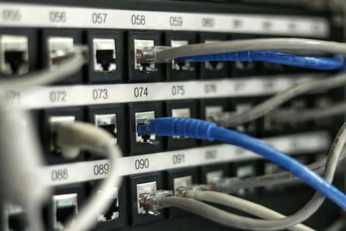 Blue and grey ethernet cables plugged into a numbered network patch panel